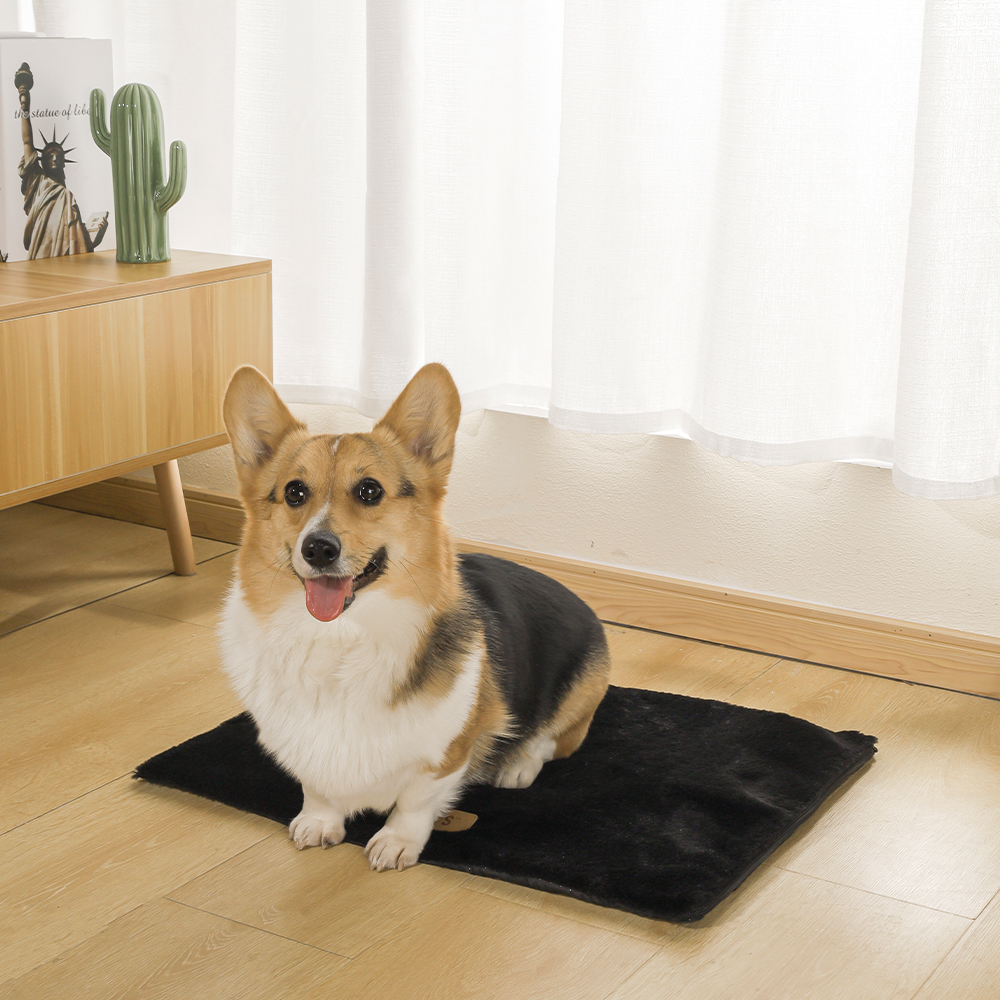 M-PETS Warmo Self Heating Mat