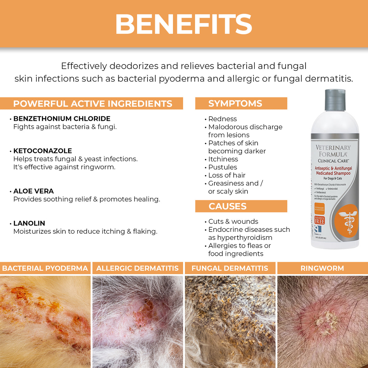 Synergy Labs Veterinary Formula Clinical Care Antiseptic & Antifungal Medicated Shampoo For Dogs & Cats
