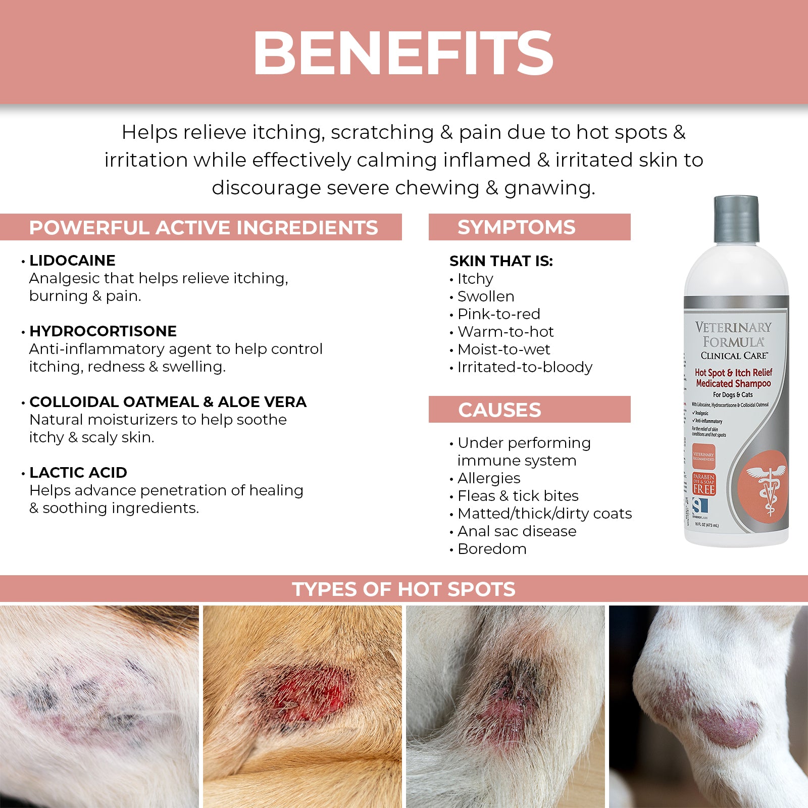 Synergy Labs Veterinary Formula Clinical Care Hot Spot & Itch Relief Medicated Shampoo For Dogs & Cats