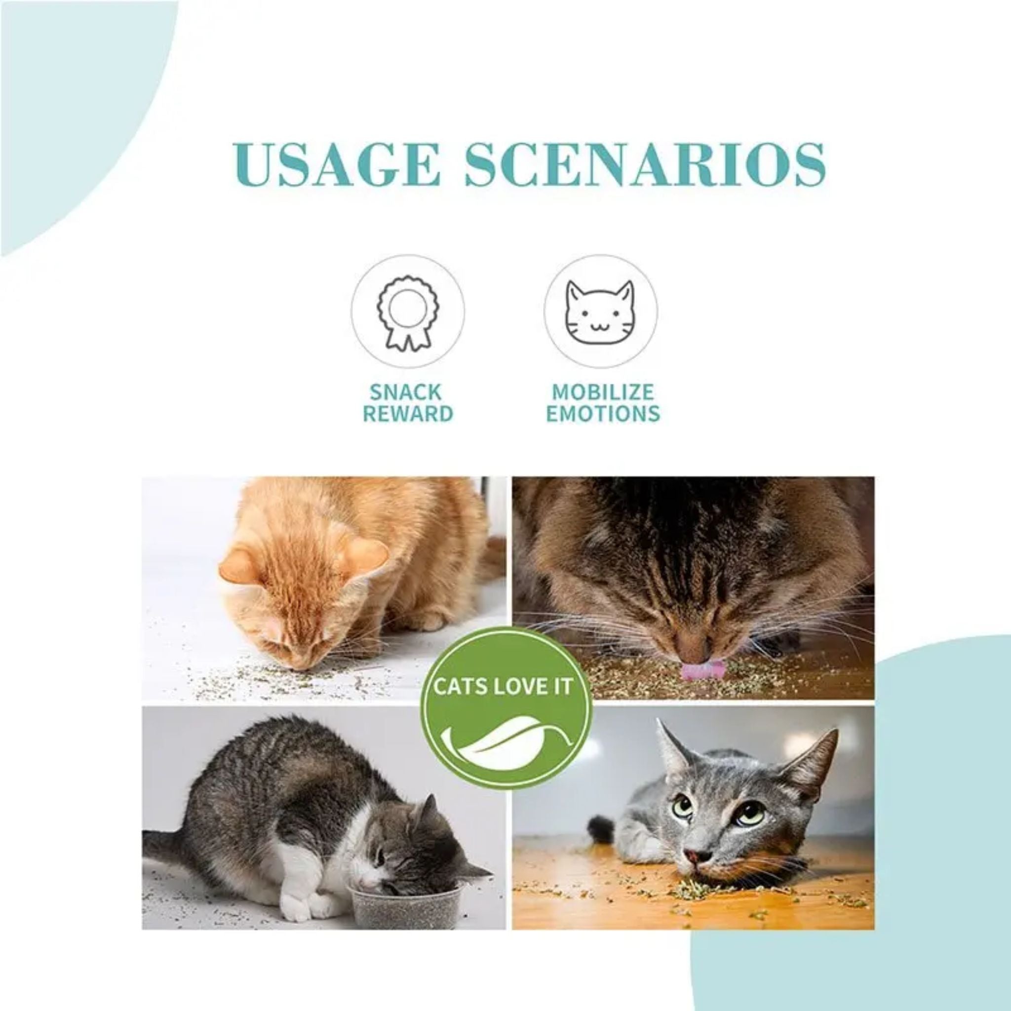 Bioline catnip leaves