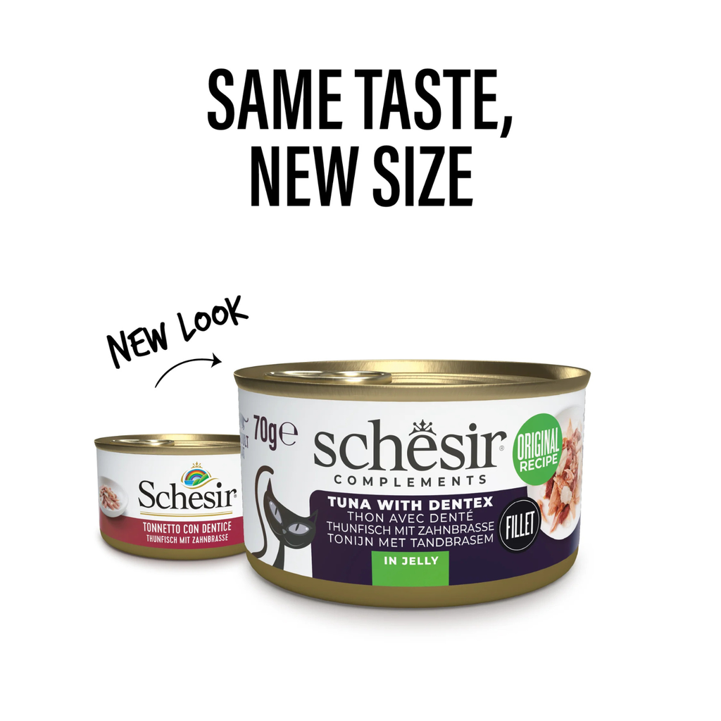 Schesir Tuna With Dentex 70g Complements Cat Wet Food in Jelly Can