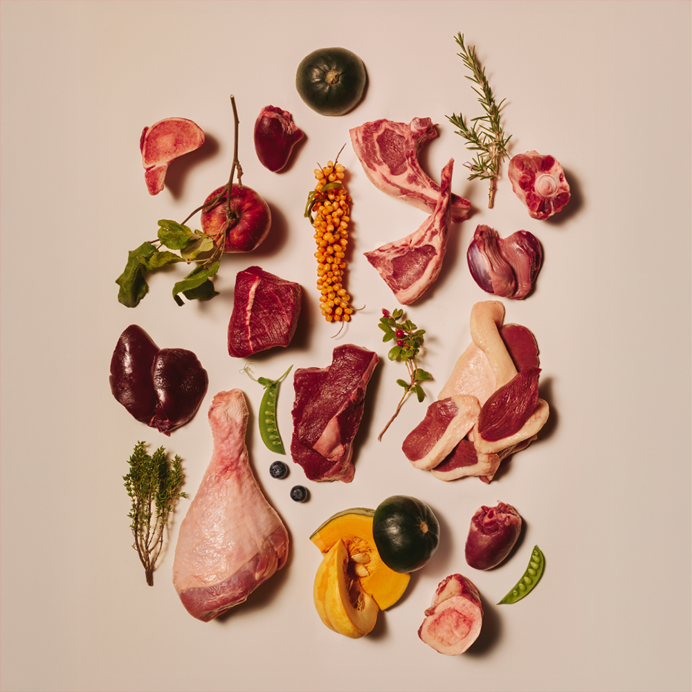 Carnilove Pheasant Fillets in Jelly enriched with Raspberry Leaves Wet Cat Food Pouch