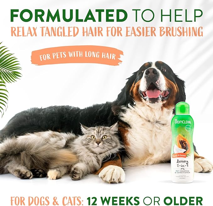 Papaya And Coconut Shampoo 2 In 1
