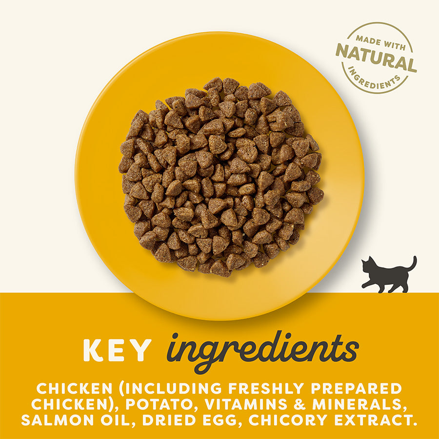 Applaws Chicken Kitten Dry Food