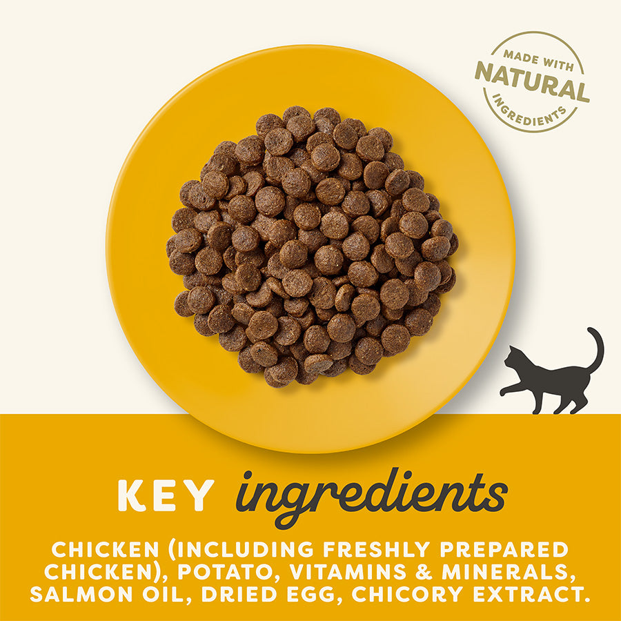 Applaws Chicken Cat Dry Food