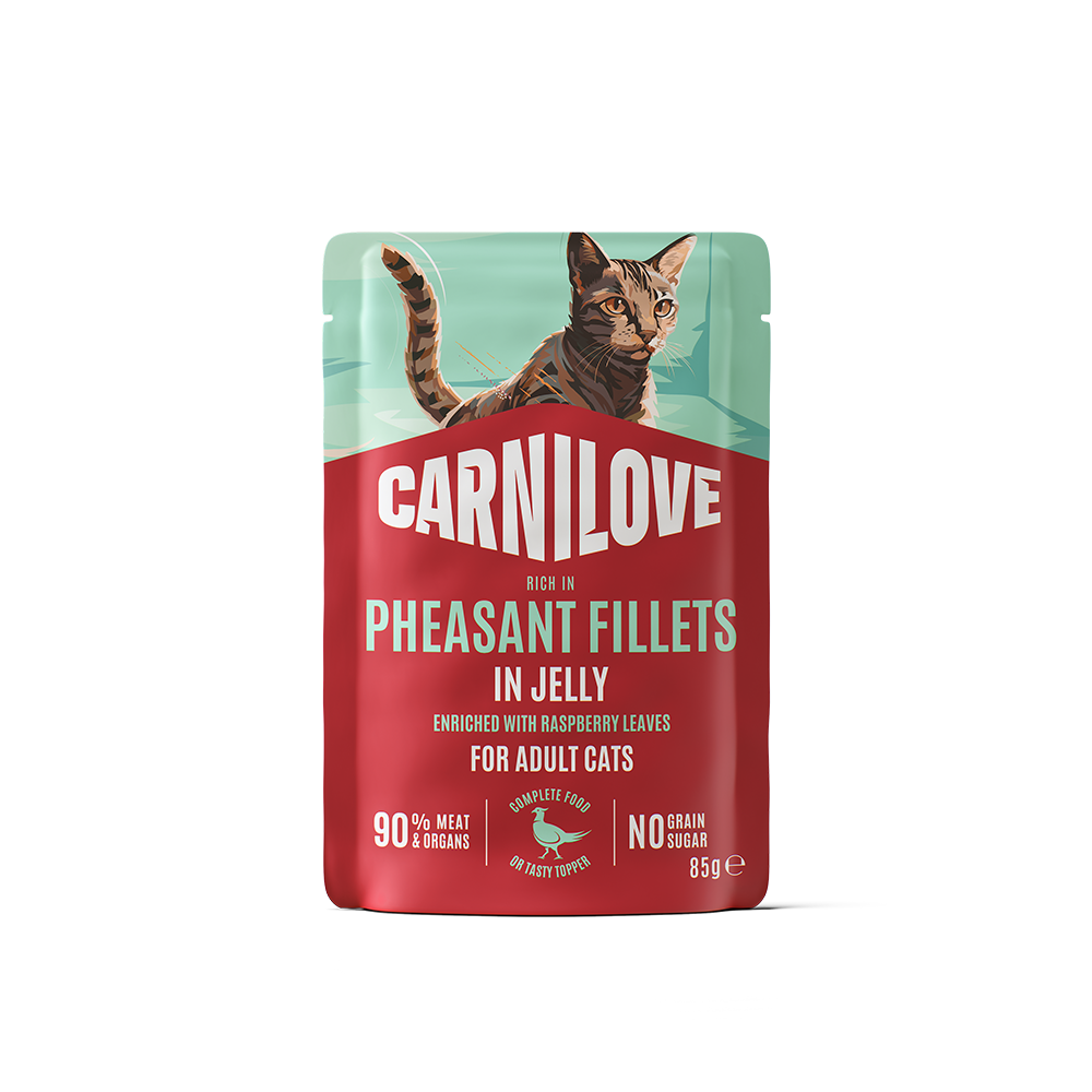 Carnilove Pheasant Fillets in Jelly enriched with Raspberry Leaves Wet Cat Food Pouch
