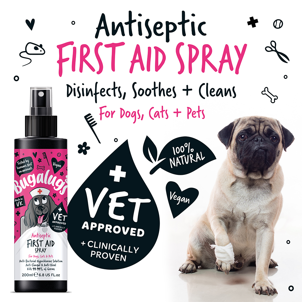Bugalugs Antiseptic First Aid Spray