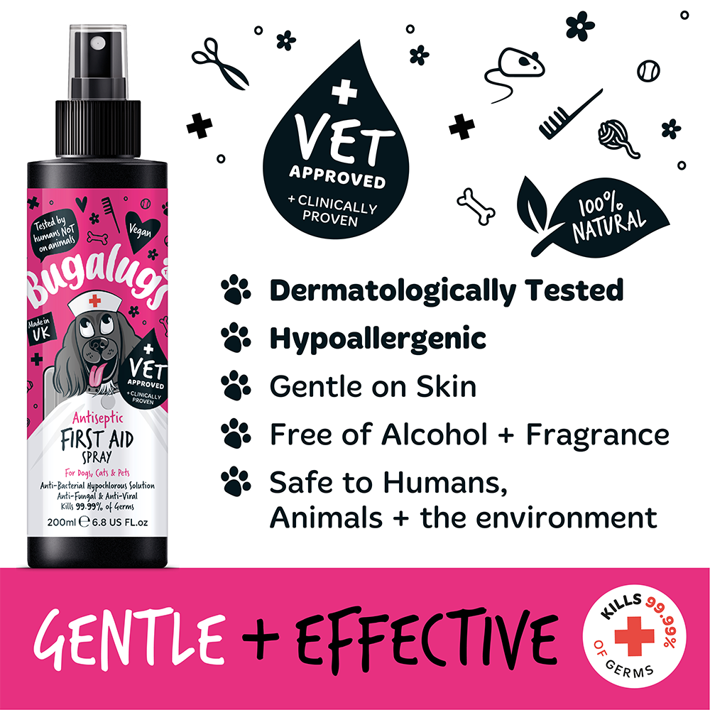 Bugalugs Antiseptic First Aid Spray