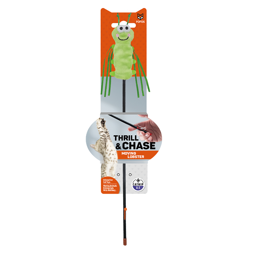 FOFOS Moving Caterpillar Cat