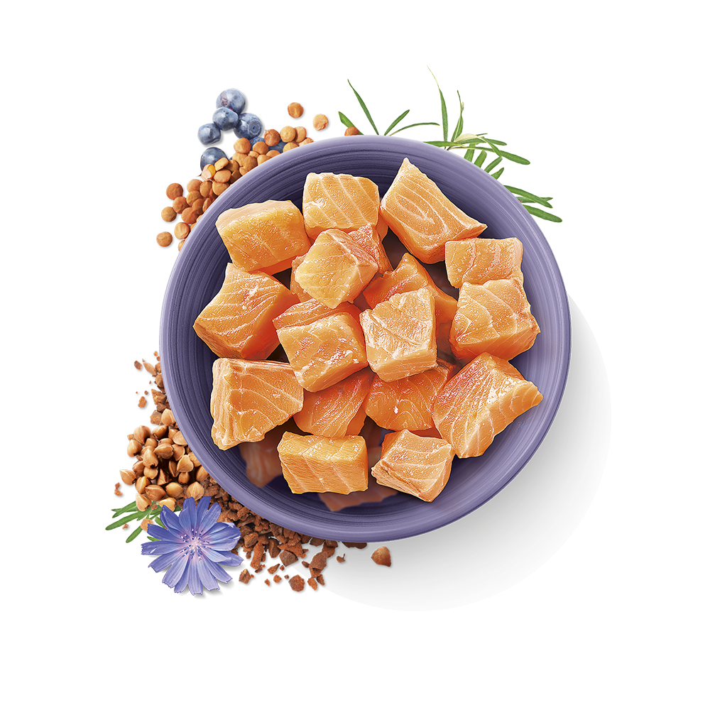 Carnilove True Fresh Fish For Adult Cats