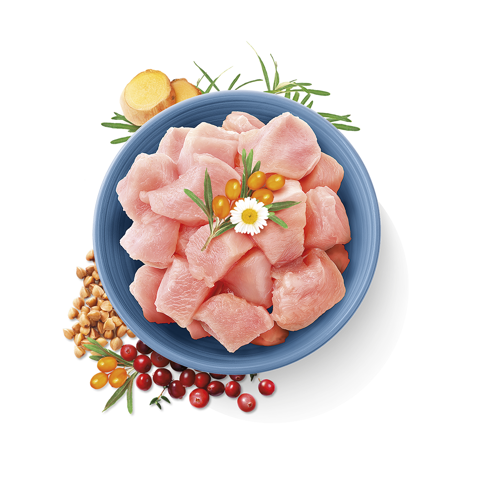 True Fresh Turkey For Adult Cats