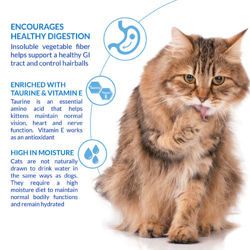 Hairball Control Cat Treats