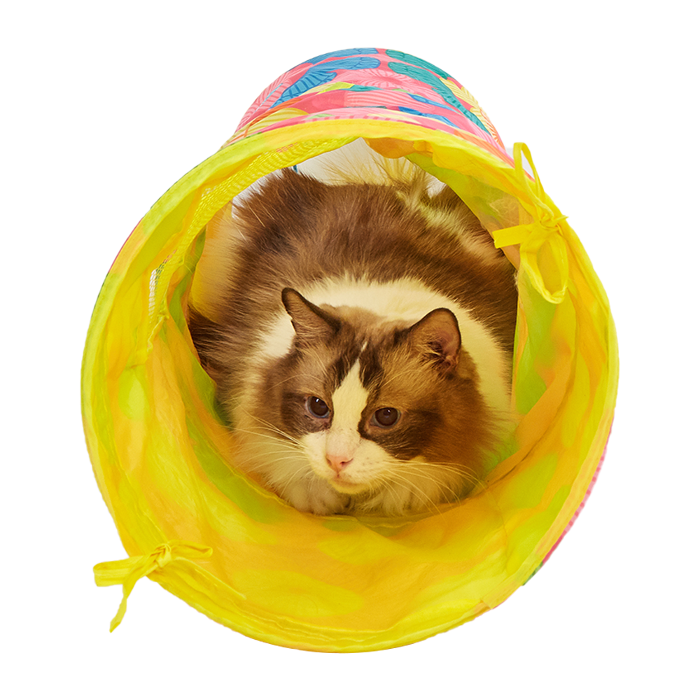FOFOS Floral Pop up Cat Tunnel
