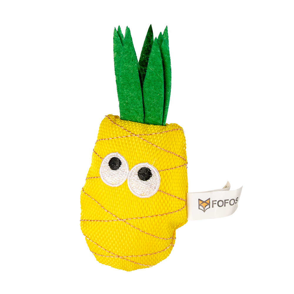 Juice & Pineapple With Catnip