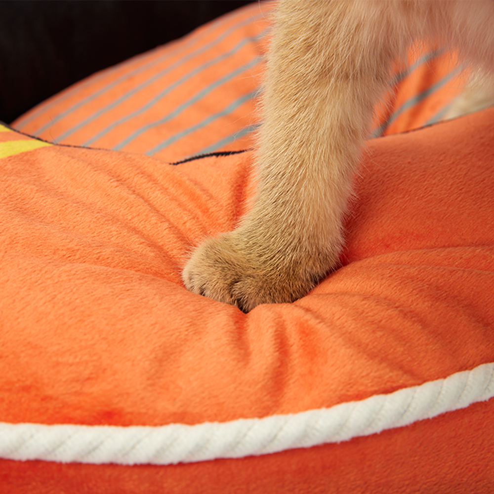 FOFOS Kayak Pet Bed