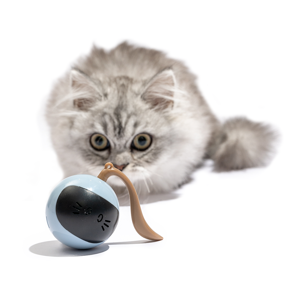 FOFOS Magic Ball Tumbler Cat Toy