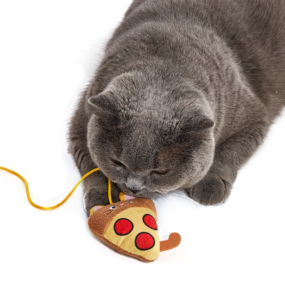 FOFOS Replaceable Cat Wand