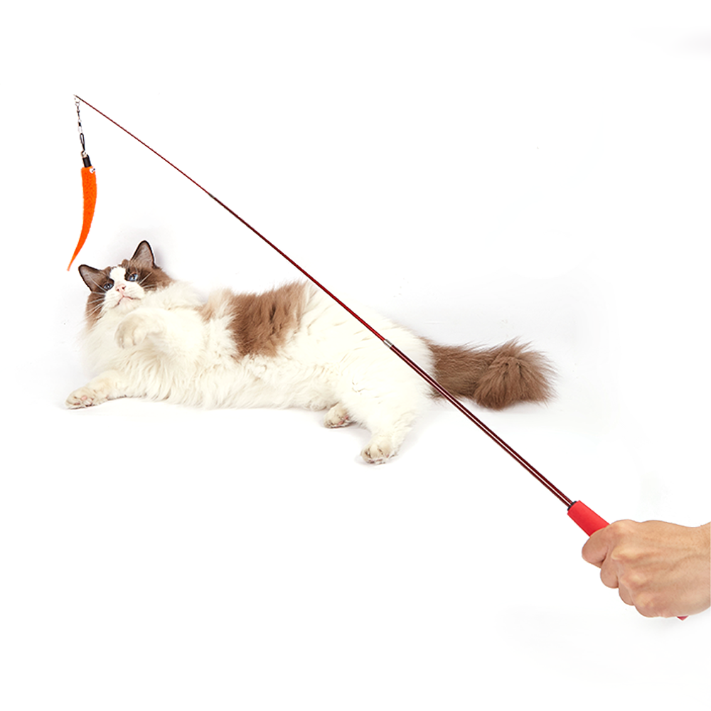 FOFOS Retractable Worm Cat