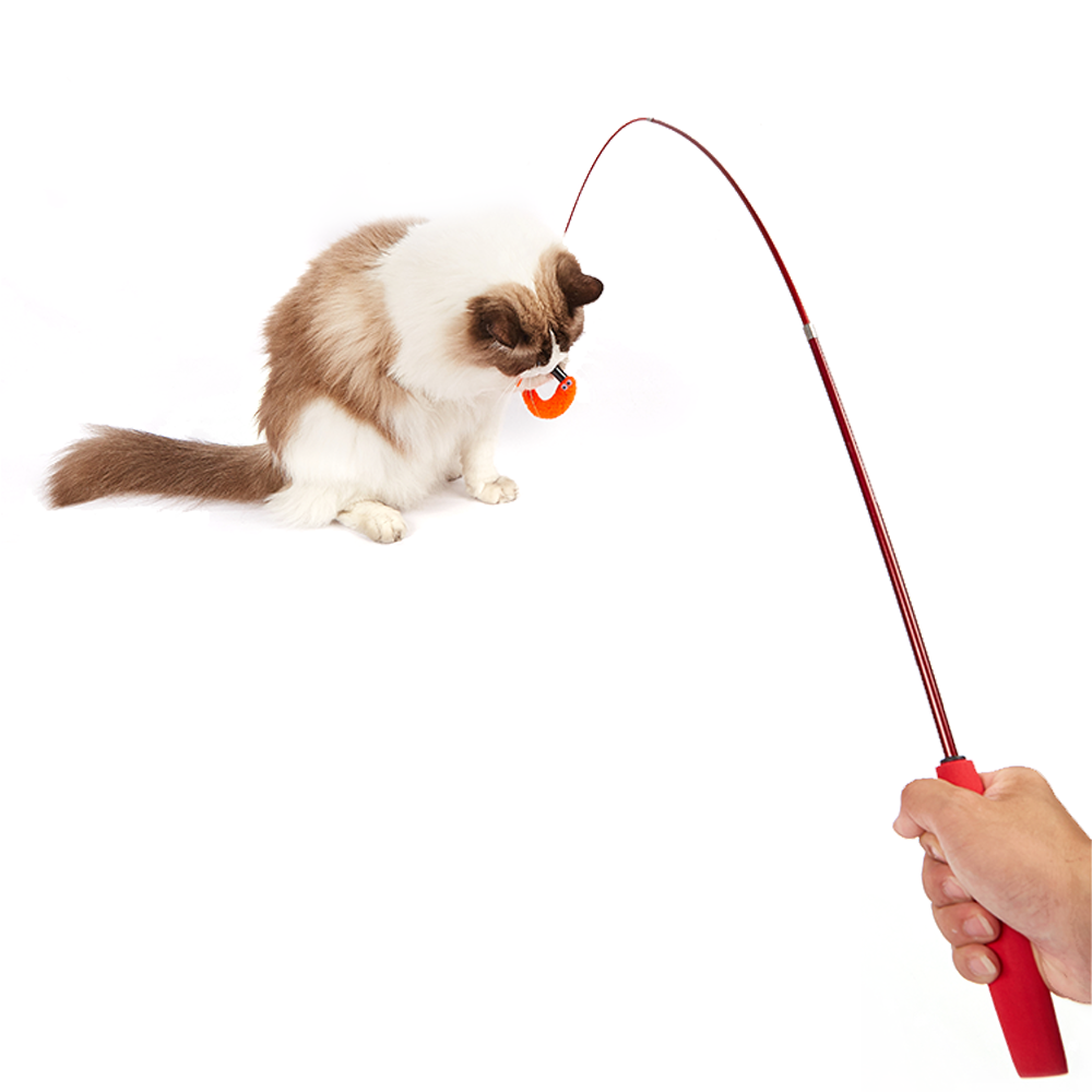 FOFOS Retractable Worm Cat