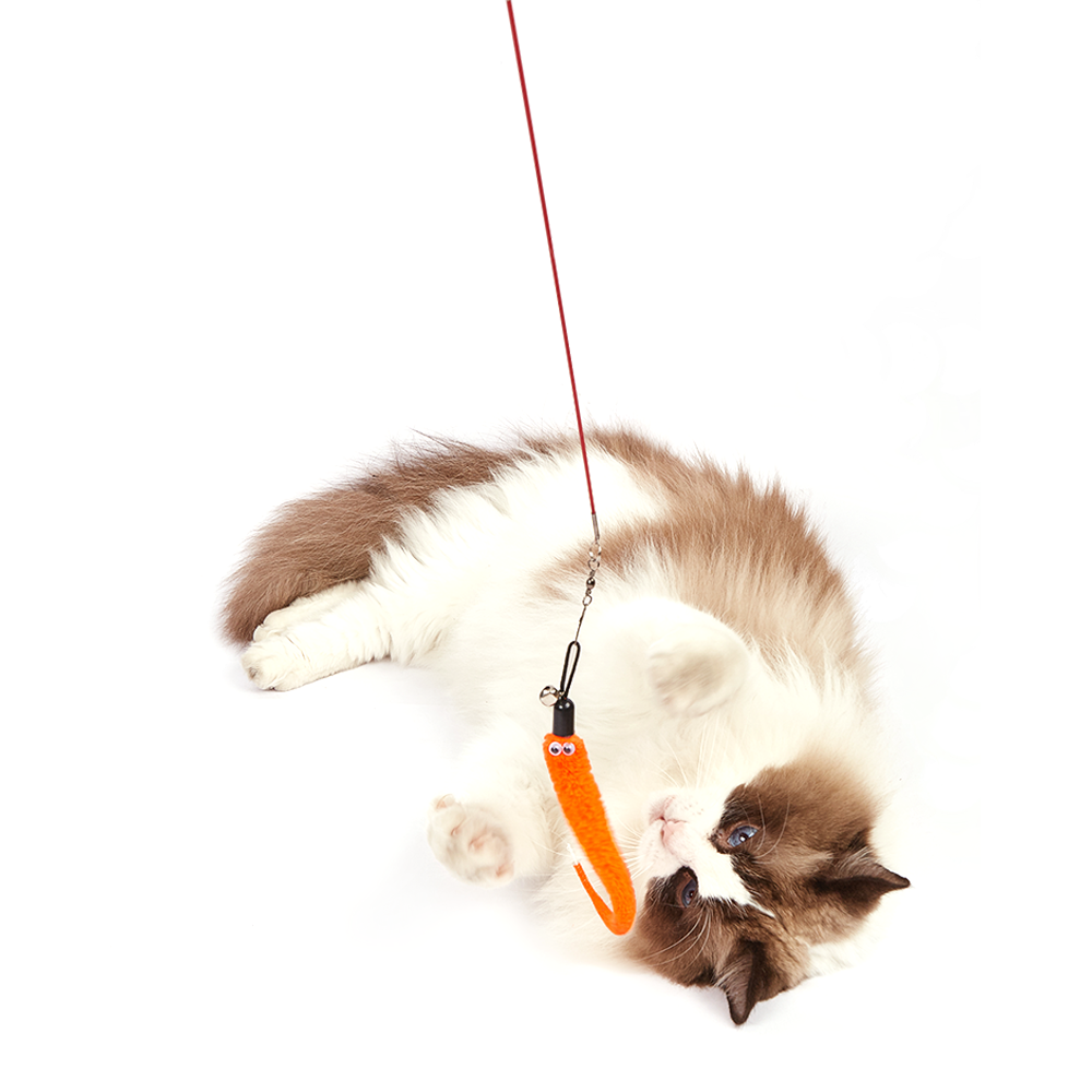 FOFOS Retractable Worm Cat