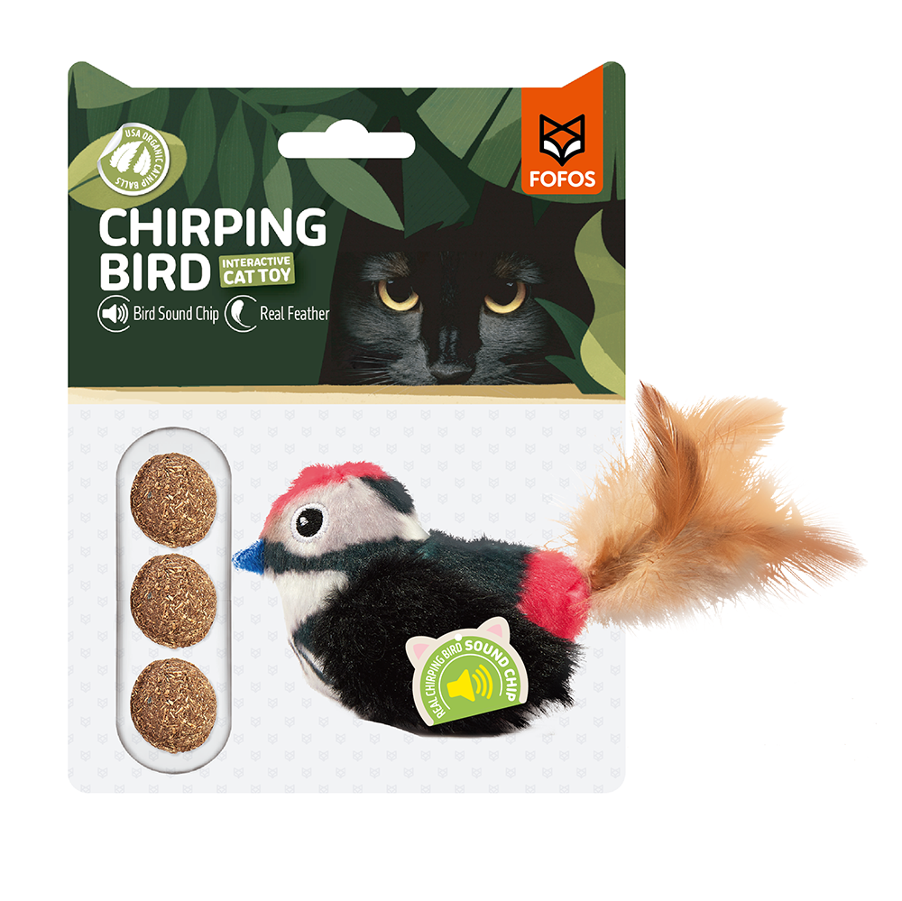 Sound Chip Black Bird With Catnip Balls