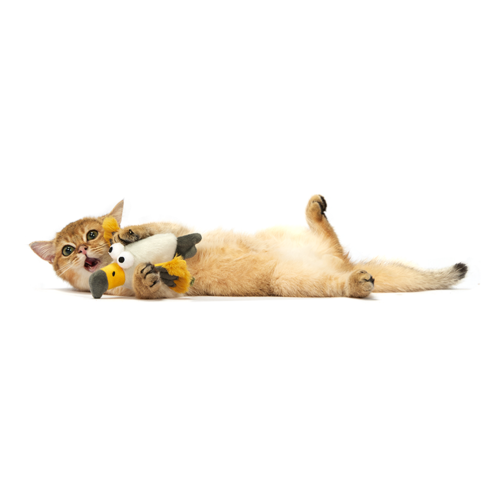 Sound Chip Eagle With Catnip Balls