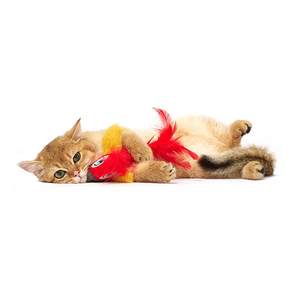 Sound Chip Parrot With Catnip Balls