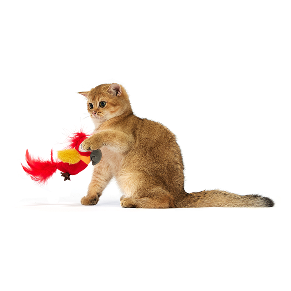 Sound Chip Parrot With Catnip Balls