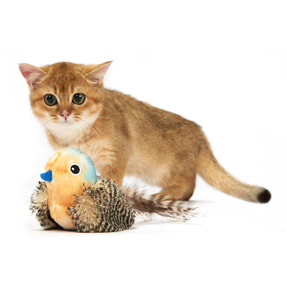 Sound Chip Blue Bird With Catnip Balls