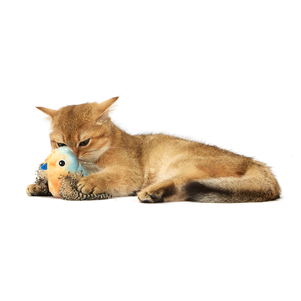 Sound Chip Blue Bird With Catnip Balls