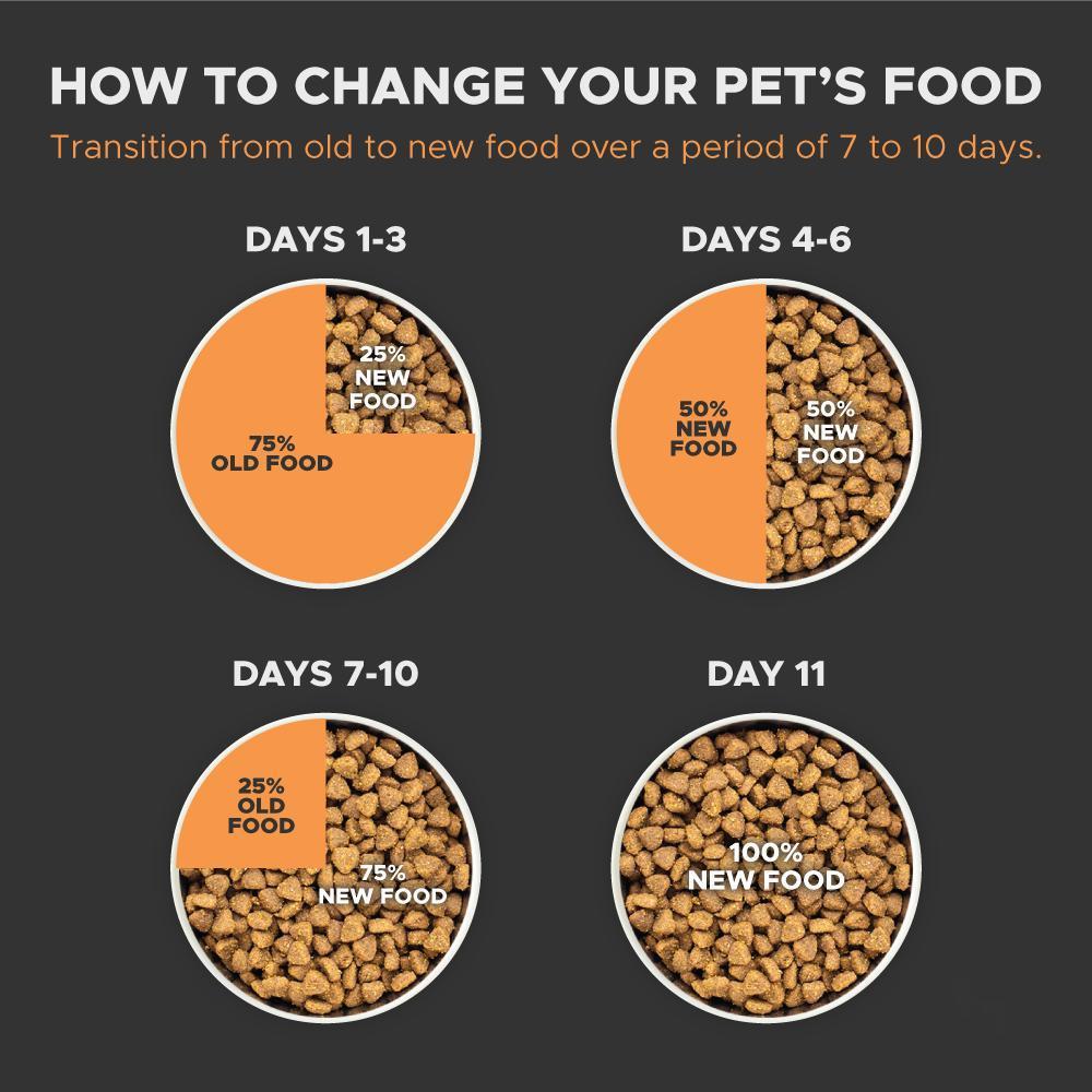 Chicken & Pomegranate Kitten Dry Food