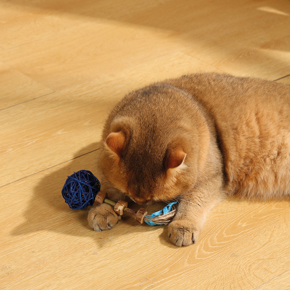 Charmy Amulet Matatabi Catnip Cat