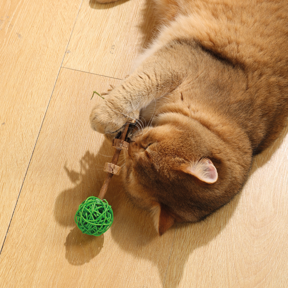 Charmy Amulet Matatabi Catnip Cat