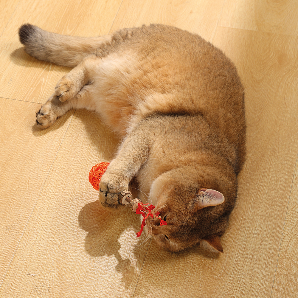 Charmy Amulet Matatabi Catnip Cat