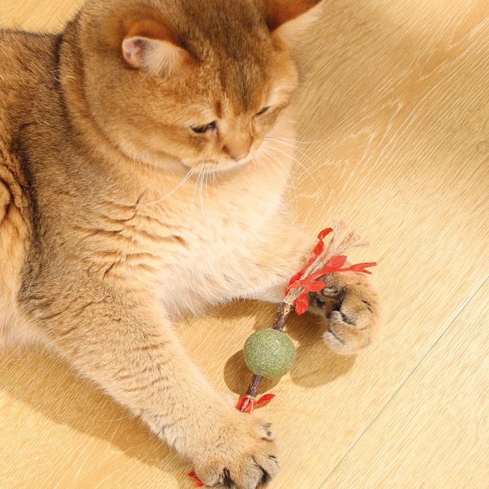 Charmy Branch Catnip Cat Toy