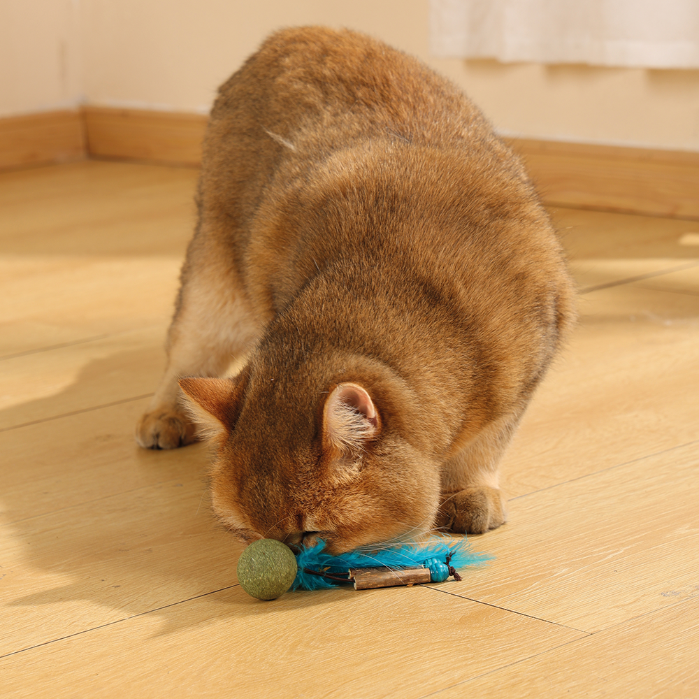 Charmy Bugbear Catnip Cat Toy