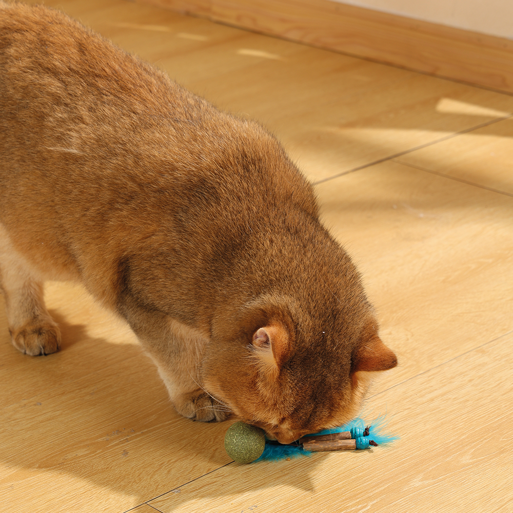 Charmy Bugbear Catnip Cat Toy