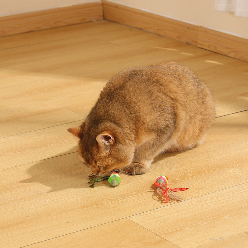 Charmy Mice Catnip Cat Toy