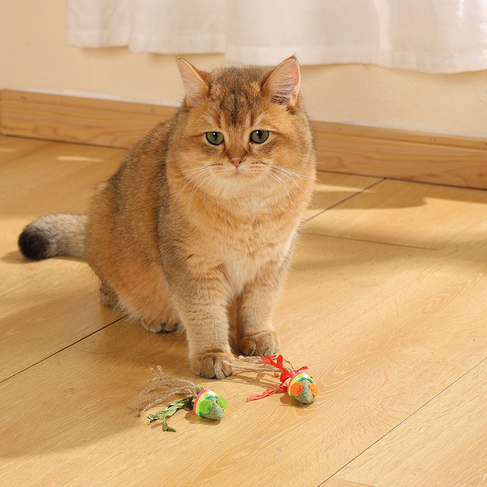 Charmy Mice Catnip Cat Toy