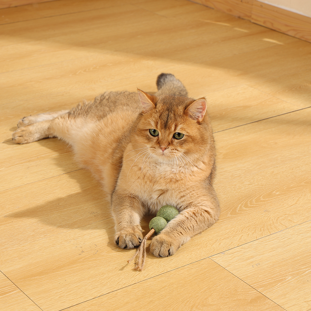 Charmy Snowman Catnip Cat Toy