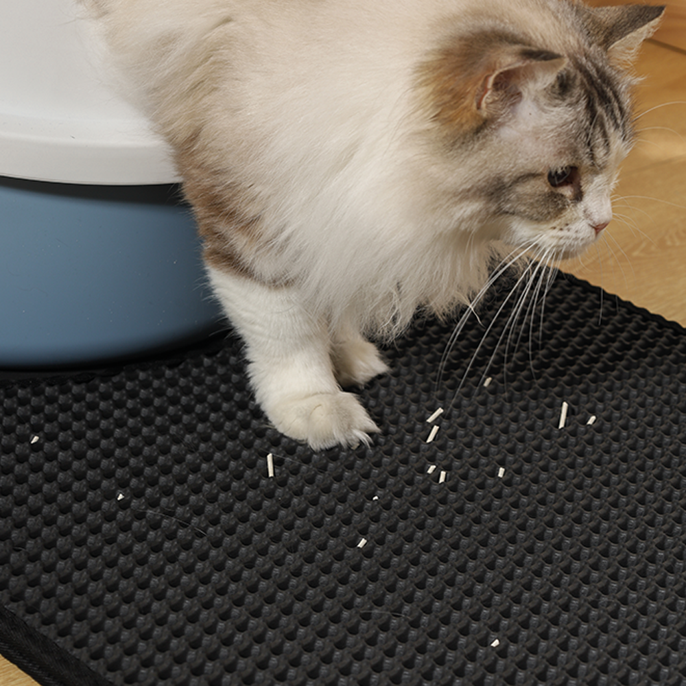 Duplex Black Cat Litter Mat