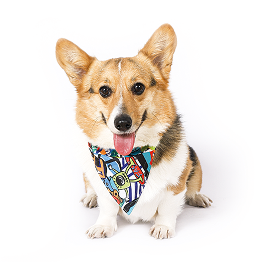 Freestyle Bandana Collar