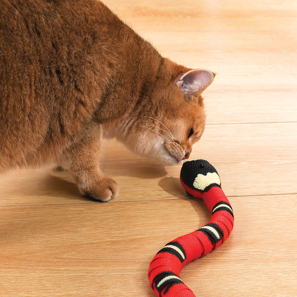 Sneaky Snake Cat Toy