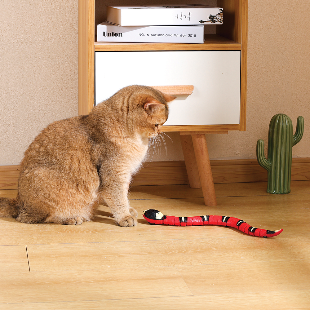 Sneaky Snake Cat Toy