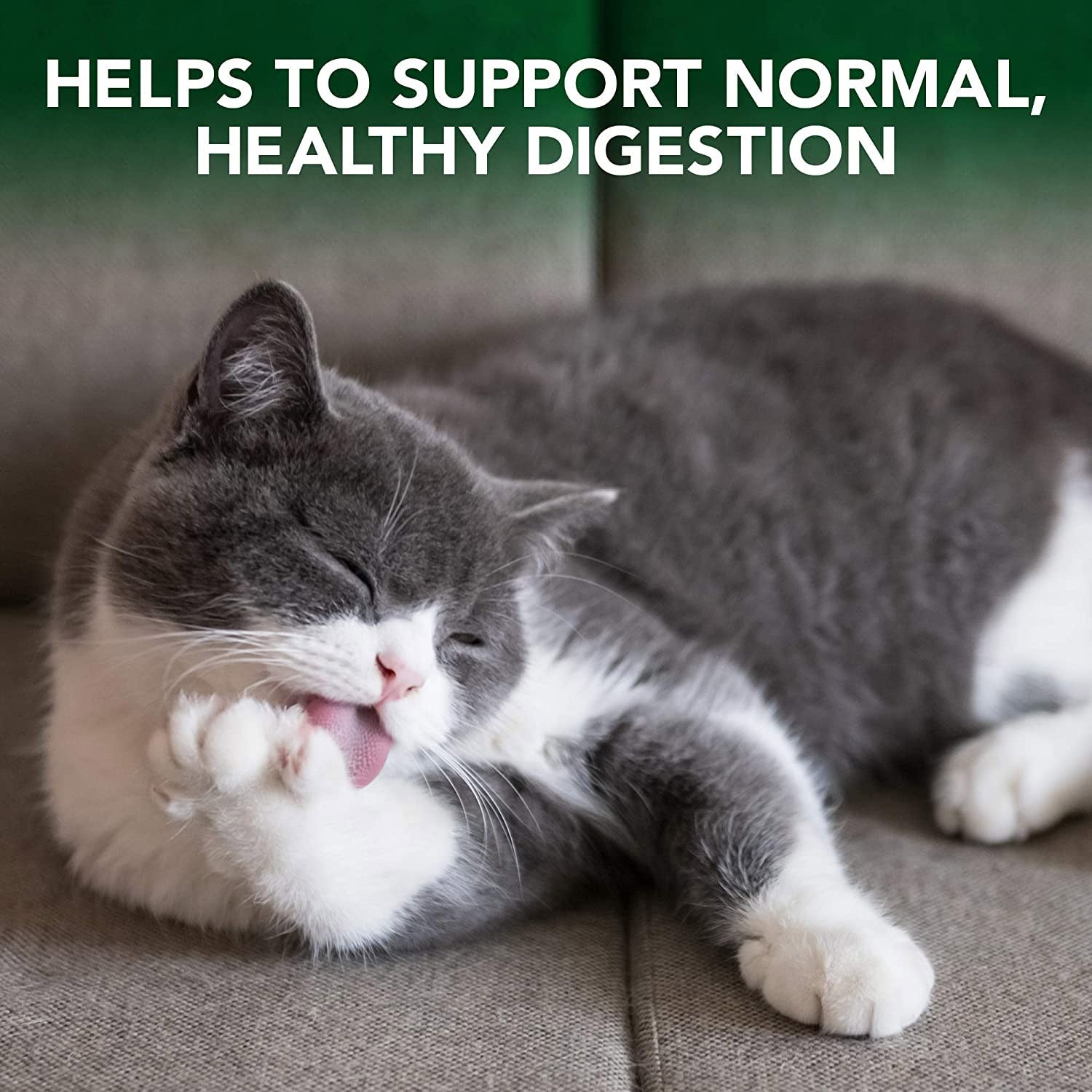 Vet’s Best Hairball Control Gel for Cats