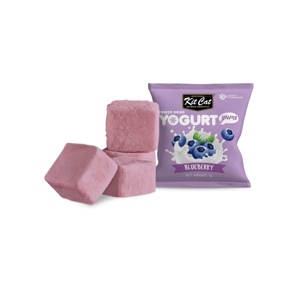 Kit Cat Freeze Dried Yogurt Yums – Blueberry