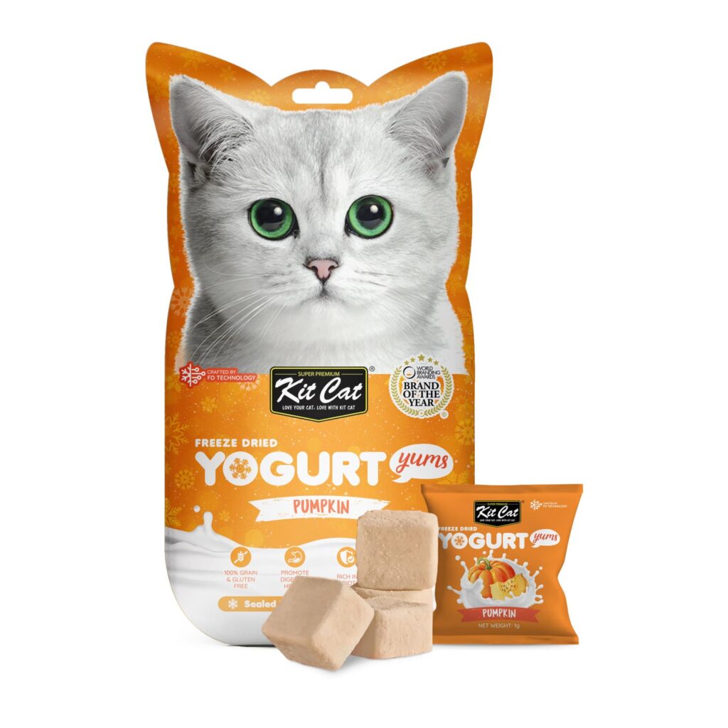 Kit Cat Freeze Dried Yogurt Yums – Pumpkin
