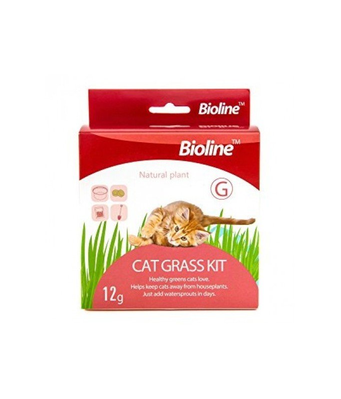 Bioline Catgrass Kit عشبة القطط