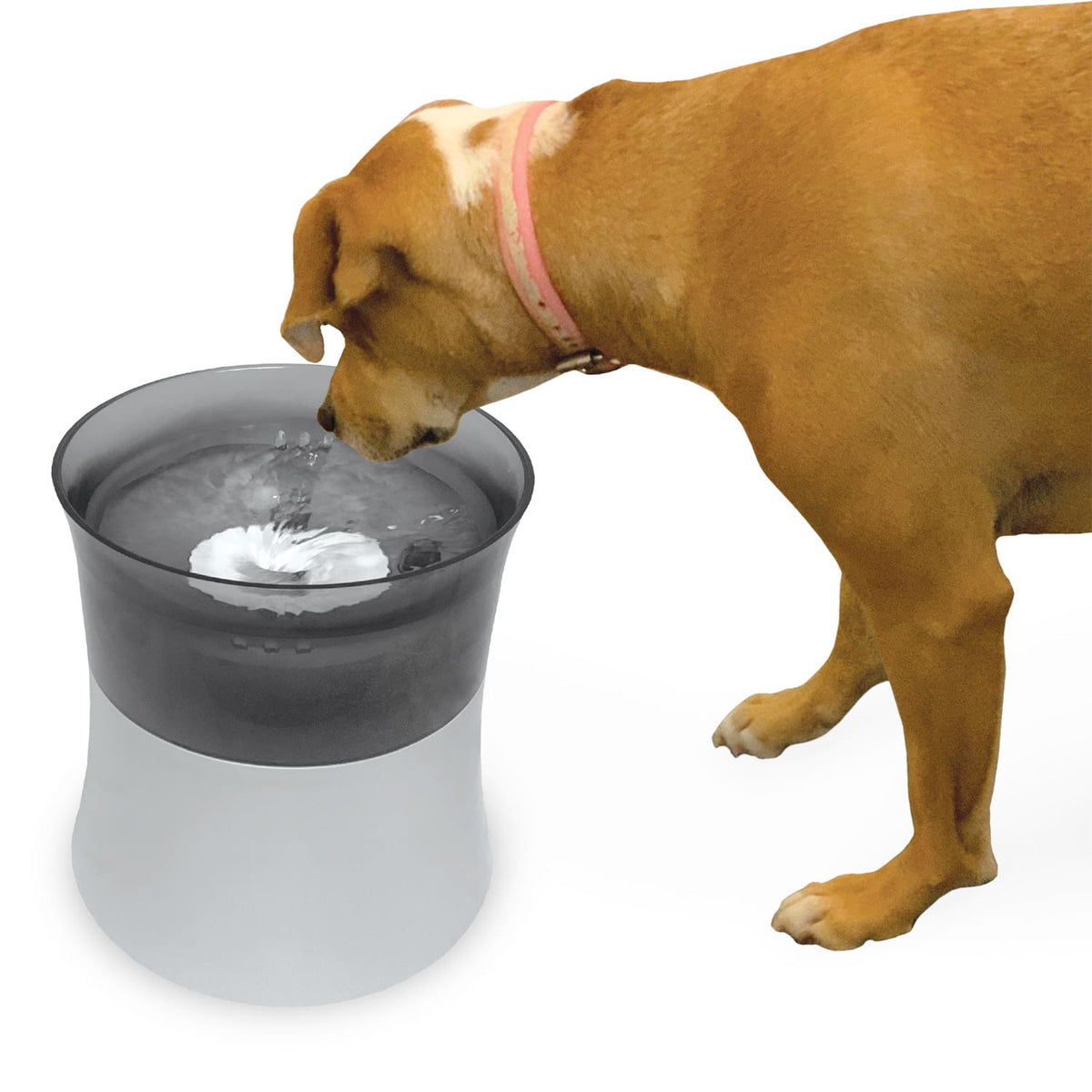 Vortex Drinking Fountain