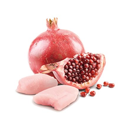 N&D Cat Prime Chicken & Pomegranate Adult Cat Wet Food